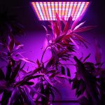 LED رشد گیاه و اکواریوم